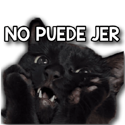 Memes para tu whats 2️⃣ 🐱 

