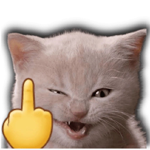 Memes para tu whats 2️⃣ 🐱 
