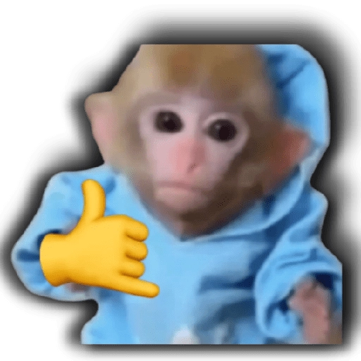 Memes para tu whats 2️⃣ 🐱 
