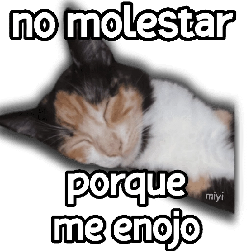 Memes para tu whats 2️⃣ 🐱 
