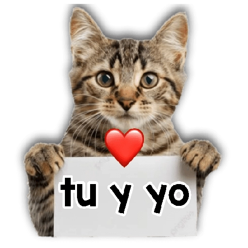 Michi mensajes gatito 🐱📩 
 preview