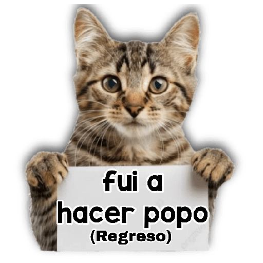 Michi mensajes gatito 🐱📩 
