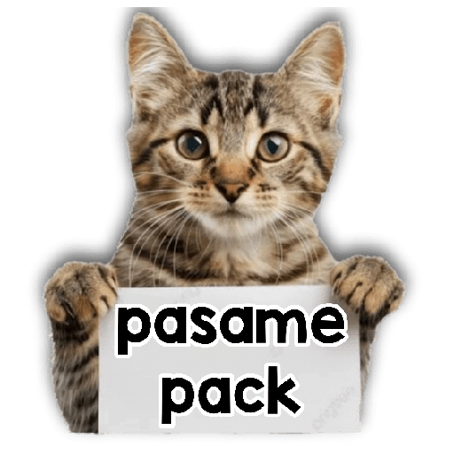 Michi mensajes gatito 🐱📩 
