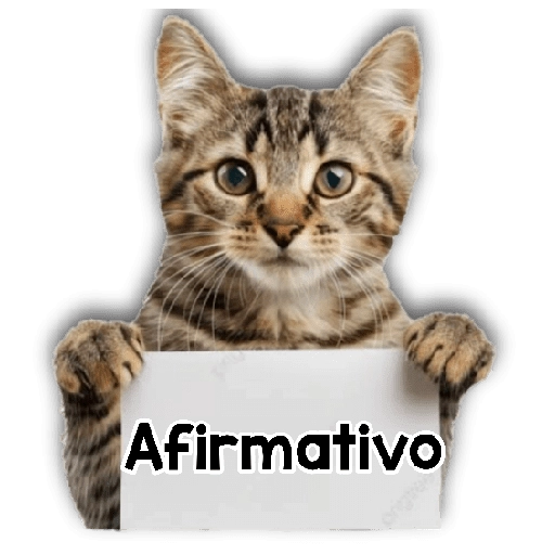 Michi mensajes gatito 🐱📩 
