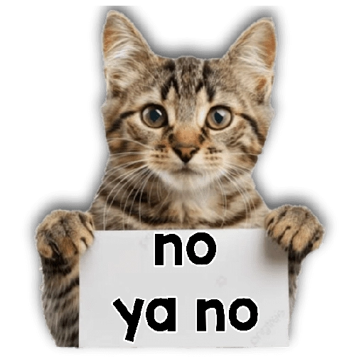 Michi mensajes gatito 🐱📩 
 preview