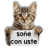 tray-icon