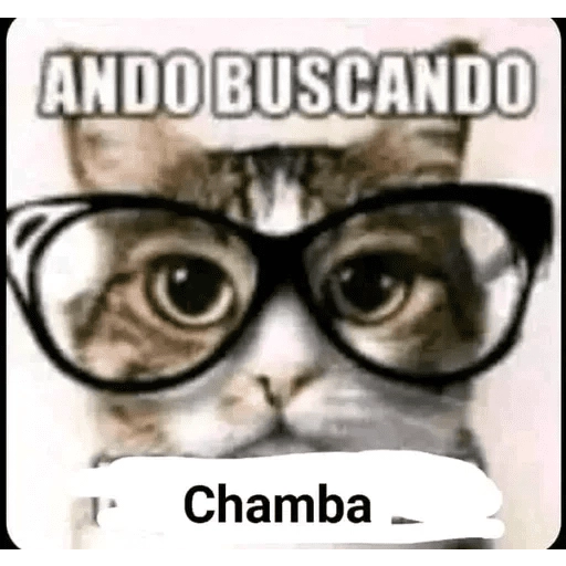 Busco Chamba 😈 
