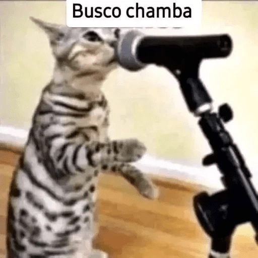 Busco Chamba 😈 
