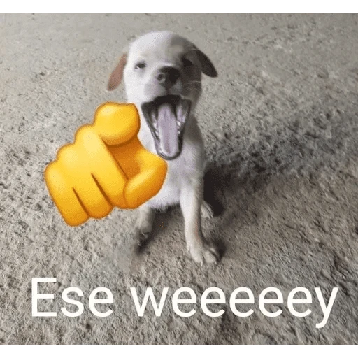 Busco Chamba 😈 
