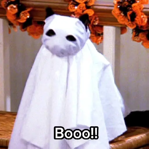 Halloween 🎃 
