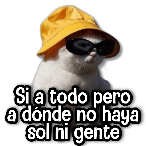 🍂 Stickers de Todo #⑦ 🍂 
