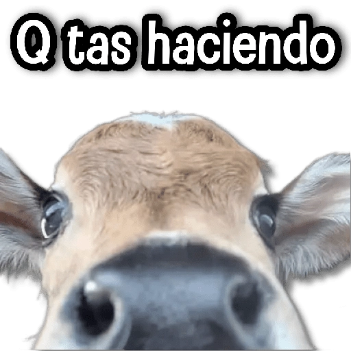 🐾 Stickers de Todo #⑤ 
