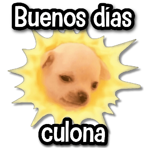 🐾 Stickers de Todo #⑤ 
