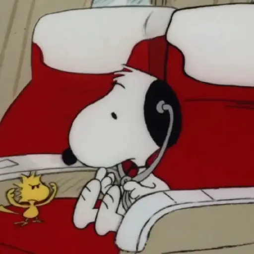 ﹒🐶˙﹟Snoopy﹗© ivanbu 
