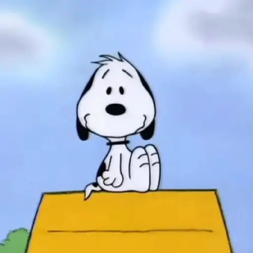 ﹒🐶˙﹟Snoopy﹗© ivanbu 
