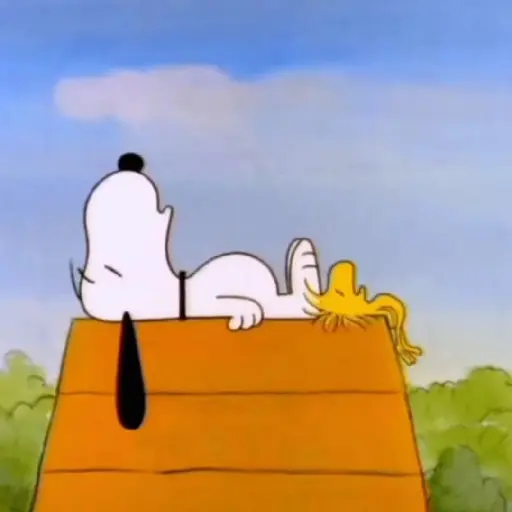 ﹒🐶˙﹟Snoopy﹗© ivanbu 
