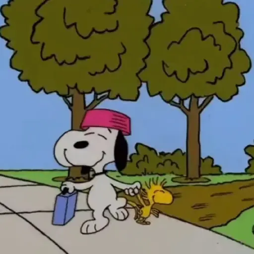 ﹒🐶˙﹟Snoopy﹗© ivanbu 
