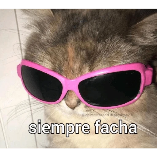 quiere que le baile 
