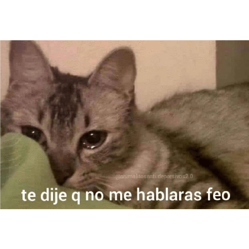 quiere que le baile 
