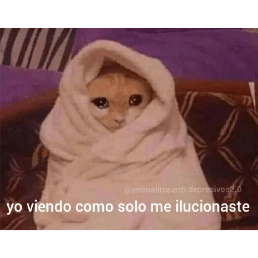 quiere que le baile 
 preview