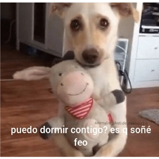 quiere que le baile 
