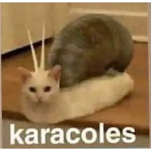 quiere que le baile 
