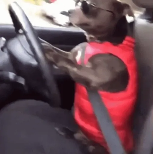 🚘 VOY LLEGANDO 😎 
 preview