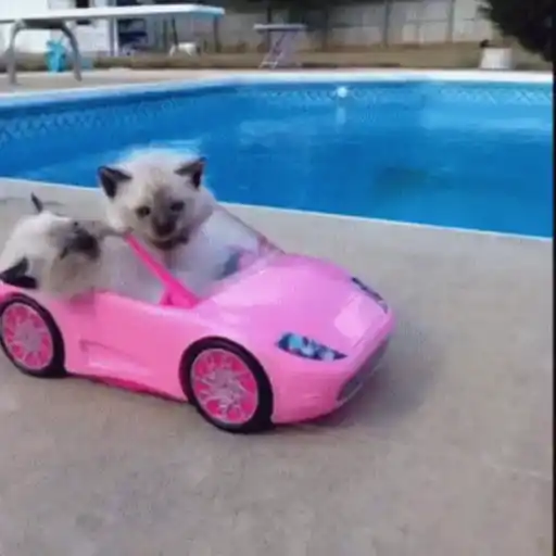 🚘 VOY LLEGANDO 😎 
