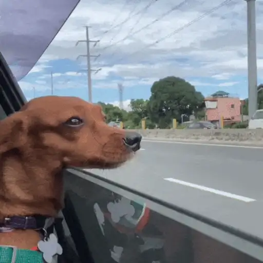 🚘 VOY LLEGANDO 😎 
