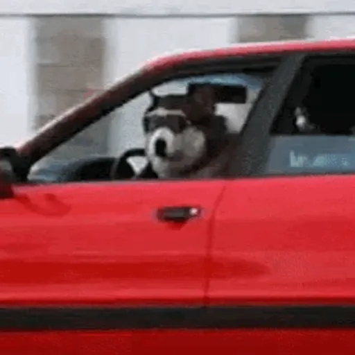 🚘 VOY LLEGANDO 😎 
