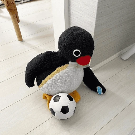 Pingu•🐧