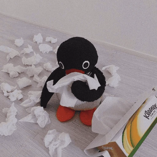 Pingu•🐧