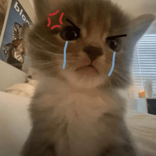 Gatitos enojados😡🐱 
