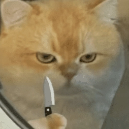 Gatitos enojados😡🐱 
