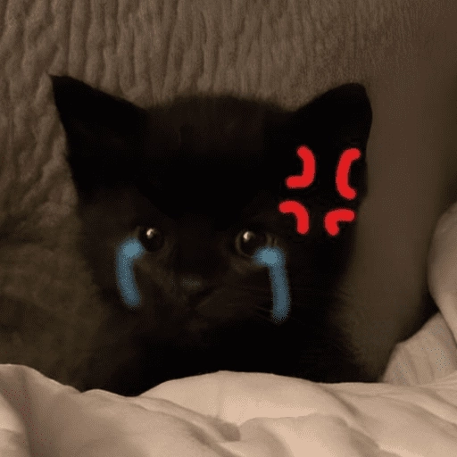Gatitos enojados😡🐱 
