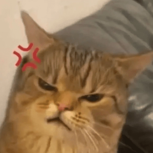 Gatitos enojados😡🐱 
