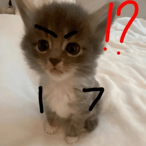 Gatitos enojados😡🐱 
