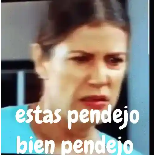estas bien pendejo  
 preview