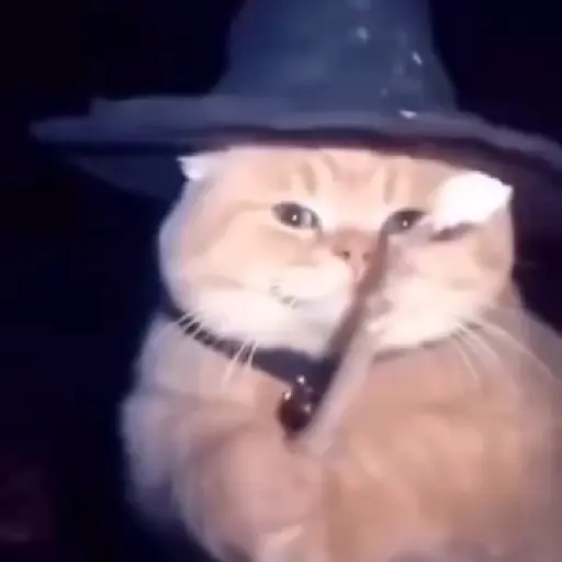 No es mi problema🔥Gato mago🔥 
