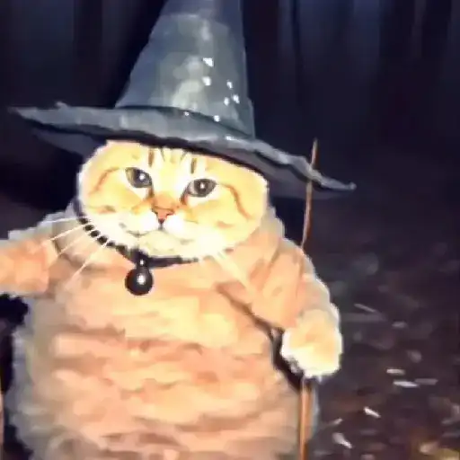 No es mi problema🔥Gato mago🔥 
