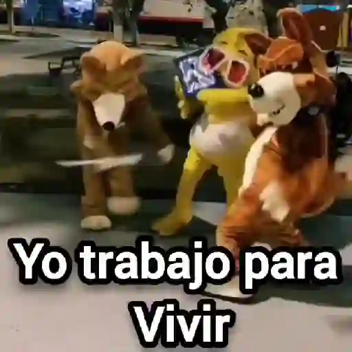 No es mi problema🔥Gato mago🔥 
