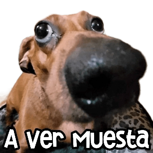 🌵 Stickers De Todo #④ 🌵 

