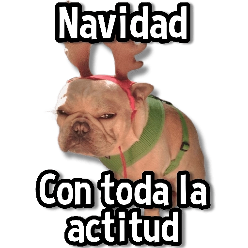 🎅🏻🎇Navidad Perritos🎄🐶 
