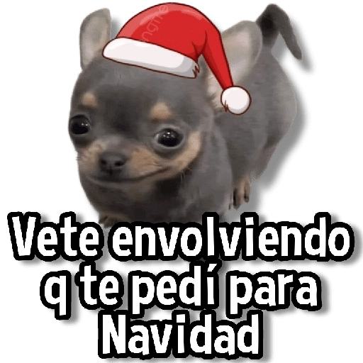 🎅🏻🎇Navidad Perritos🎄🐶 
