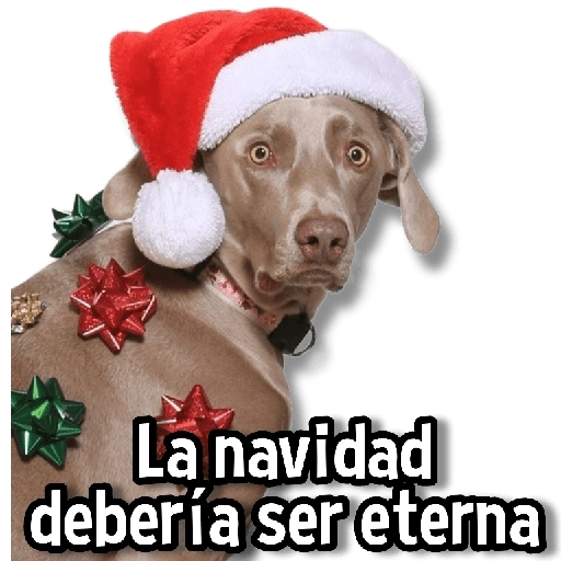 🎅🏻🎇Navidad Perritos🎄🐶 
 preview