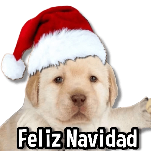 🎅🏻🎇Navidad Perritos🎄🐶 
 preview