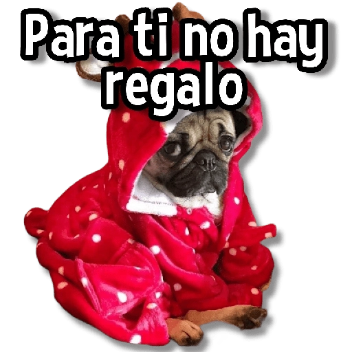 🎅🏻🎇Navidad Perritos🎄🐶 
