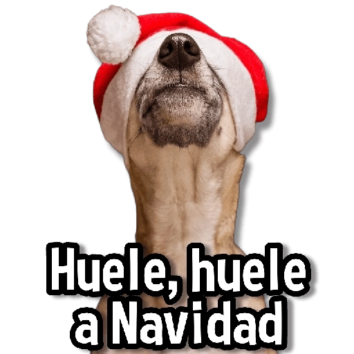 🎅🏻🎇Navidad Perritos🎄🐶 
