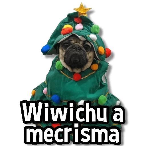 🎅🏻🎇Navidad Perritos🎄🐶 
