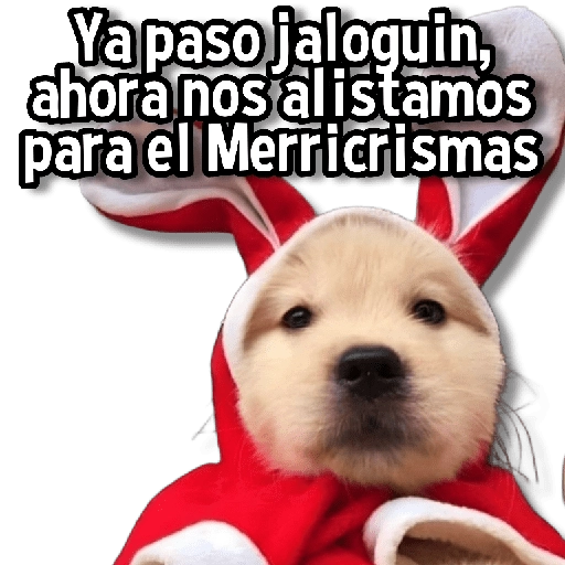 🎅🏻🎇Navidad Perritos🎄🐶 
